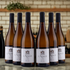 L'Ange Blanc - 2024