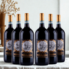 Tenuta Toina - Valpolicella Ripasso - Magnum