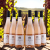 L'Ange Rosé - 2024