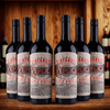 Puglia IGP Zinfandel - Replica - 2024