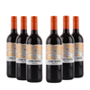 Corte Vigna - Cabernet Sauvignon Italien - 11,5%