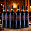 Montepulciano DOC - 2024