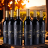PRONTO Primitivo – Puglia IGT - 18 % 2024
