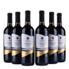 Puntalevante Primitivo Puglia IGT - 2024