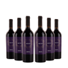 Soluna Primitivo Puglia IGT 2025