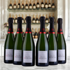 Vincent Delouvin - Champagne - Blancs De Blancs