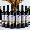 Puntalevante Primitivo Puglia IGT - 2024