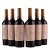 Susumaniello - Primitivo - Pronto - Puglia IGT - 2025 - 13,5%