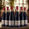 Gran Passione - Rotwein Veneto - 2025